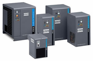 䰢˹Atlas Copco FXϵ䶳ʽѹ